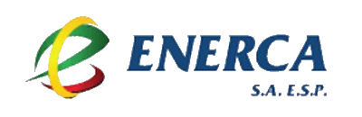 Company name