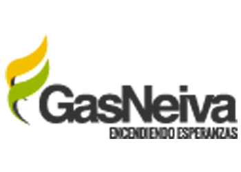 Company name
